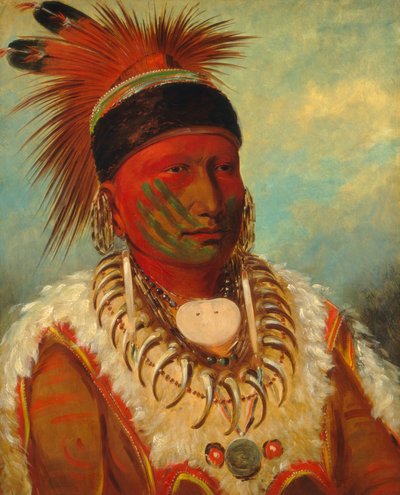 La Nuvola Bianca, Capo degli Iowas da George Catlin